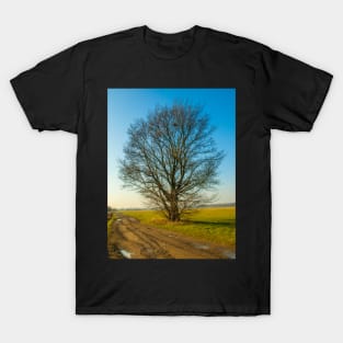 lonely tree on the meadow T-Shirt